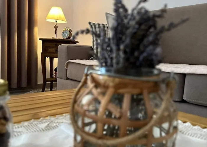 Apartment Florentina *